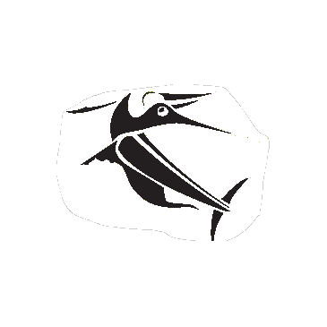 SportFishingTackleShop.co.za